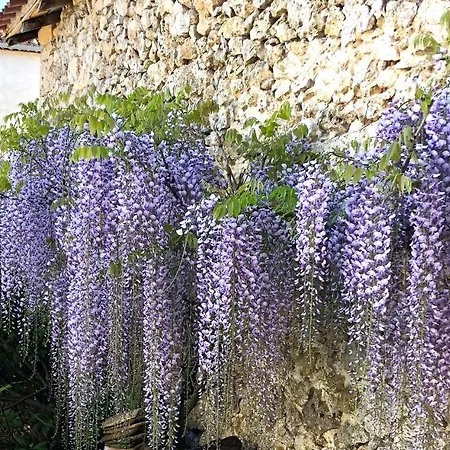La Grange De La Maison Des Chats - Loft En Quercy * Saint-Amans-du-Pech