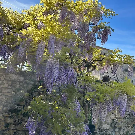 La Grange De La Maison Des Chats - Loft En Quercy *