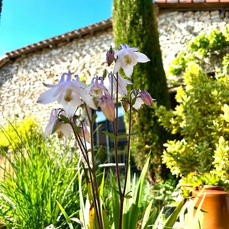 Сasa de vacaciones La Grange De La Maison Des Chats - Loft En Quercy *
