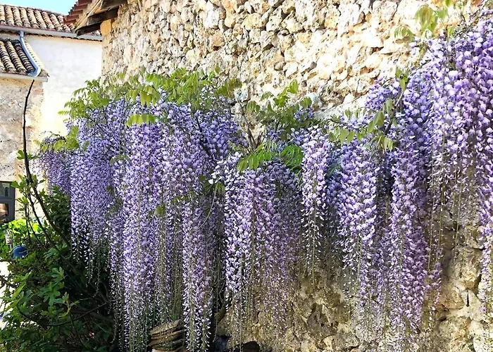 La Grange De La Maison Des Chats - Loft En Quercy * Saint-Amans-du-Pech