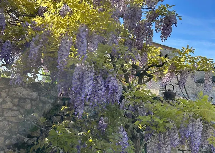 La Grange De La Maison Des Chats - Loft En Quercy *